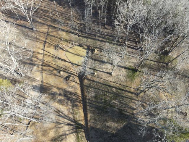 1120 JOT EM DOWN RD, Morris Chapel, TN 38361