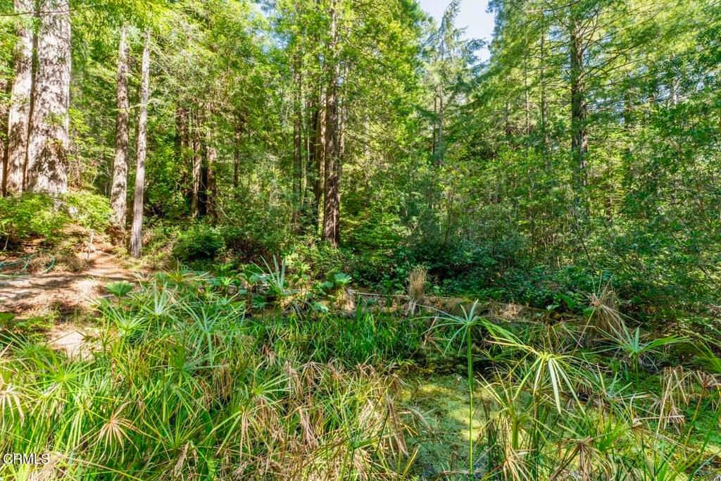 Image 39 of property listing at 33100 Frog Pond Road, Little River, CA 95456