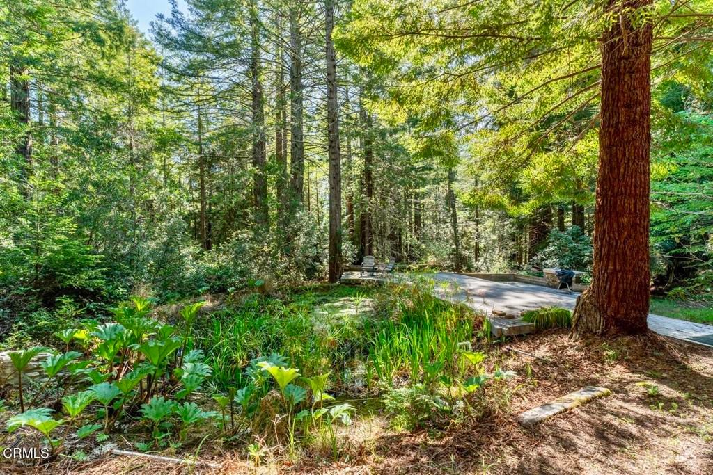 Image 41 of property listing at 33100 Frog Pond Road, Little River, CA 95456