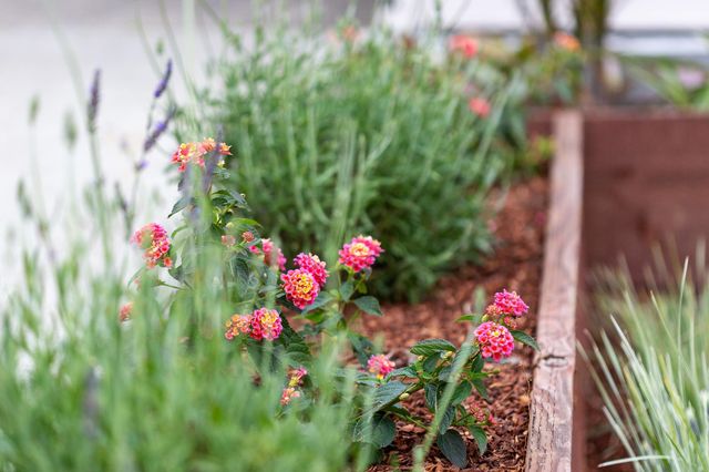 3006 14Th Ave, Oakland, CA 94602