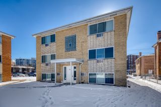 9606 Golf Terrace Road, Des Plaines, IL 60016