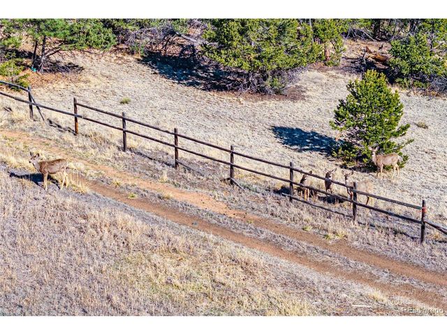 987 14th Trl, Cotopaxi, CO 81223