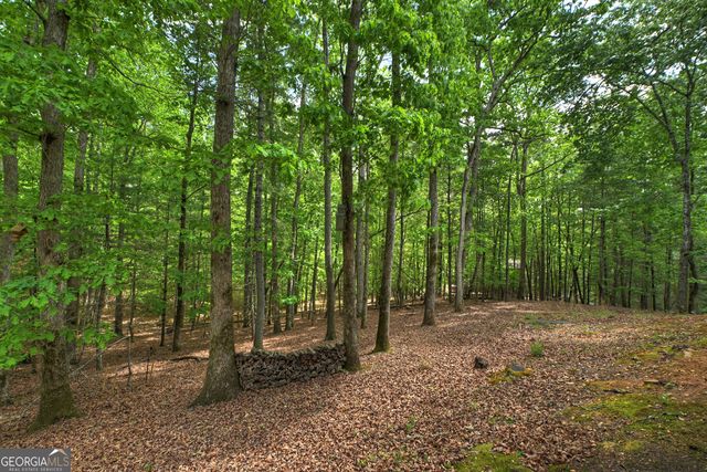 366 Shepherds Way, Morganton, GA 30560