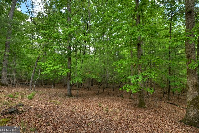 366 Shepherds Way, Morganton, GA 30560