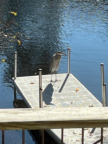 83 Lake Drive, Centerville, MA 02632