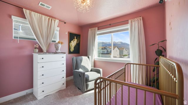 253 N 240 E, Vineyard, UT 84059