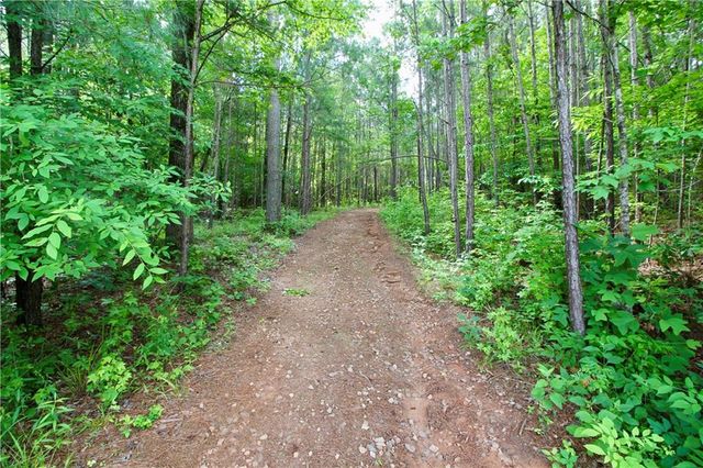 207 River Overlook, Forsyth, GA 31029