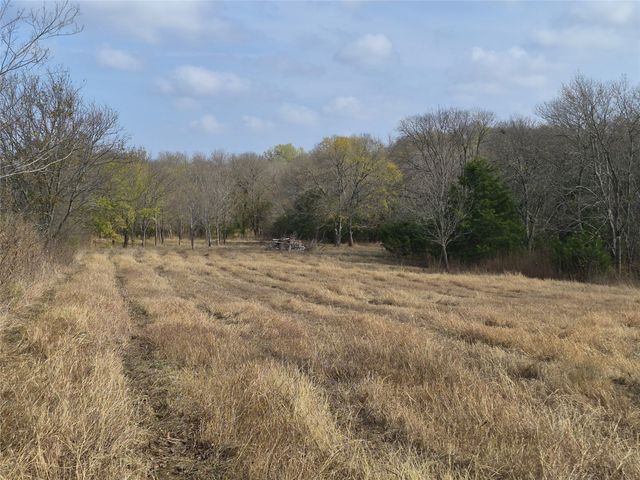 1386 Palmyra Road, Palmer, TX 75152