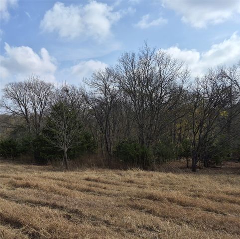 1386 Palmyra Road, Palmer, TX 75152