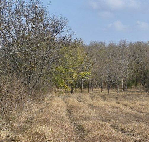 1386 Palmyra Road, Palmer, TX 75152