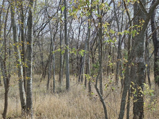 1386 Palmyra Road, Palmer, TX 75152