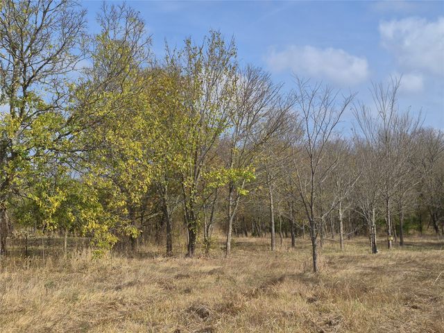 1386 Palmyra Road, Palmer, TX 75152