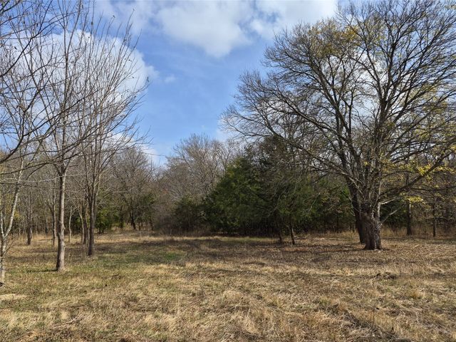 1386 Palmyra Road, Palmer, TX 75152