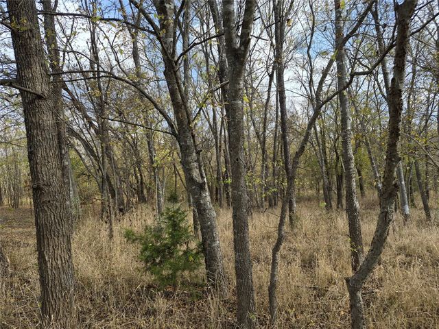 1386 Palmyra Road, Palmer, TX 75152