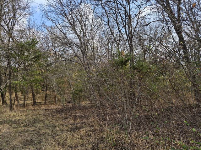 1386 Palmyra Road, Palmer, TX 75152