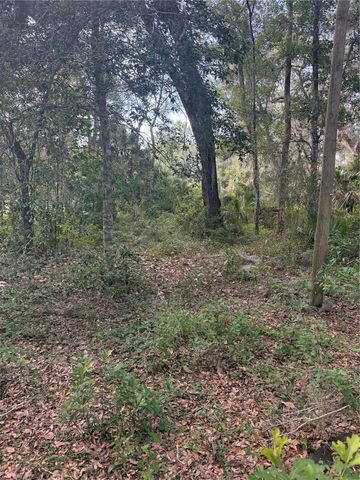 5612 E HIGHWAY 316, Citra, FL 32113