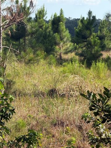 5612 E HIGHWAY 316, Citra, FL 32113