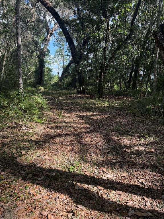 5612 E HIGHWAY 316, Citra, FL 32113