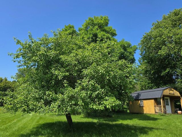 2047 60th Avenue, Altona Twp, MN 56164