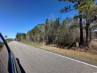 TBD Joyner Swamp Rd., Galivants Ferry, SC 29544