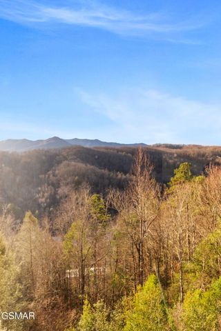 1704 Hidden Hills Rd 504, Gatlinburg, TN 37738