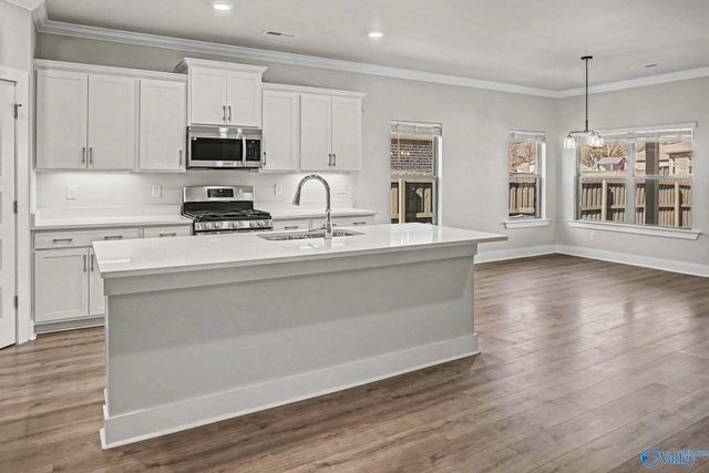 21779 Natures Cove Drive, Athens, AL 35613