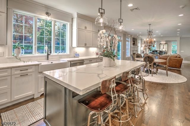 3 Meadow Ct, Madison Boro, NJ 07940