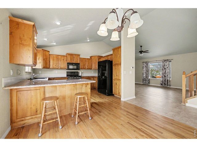 9064 Raging Bull Ln, Wellington, CO 80549