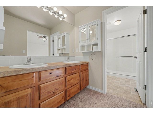 9064 Raging Bull Ln, Wellington, CO 80549