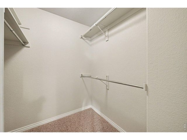 9064 Raging Bull Ln, Wellington, CO 80549