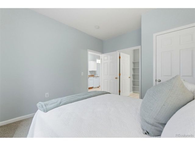 1464 Bergen Rock St, Castle Rock, CO 80109