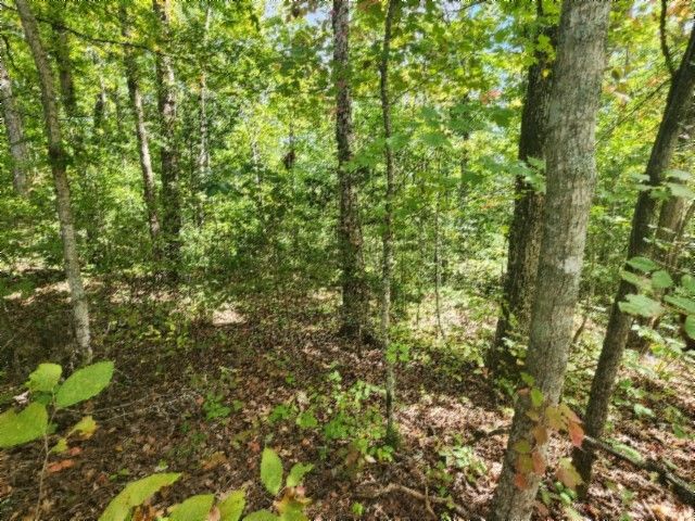 0 Glenobey Rd, Jamestown, TN 38556