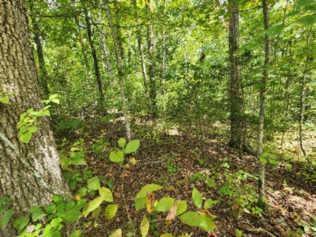 0 Glenobey Rd, Jamestown, TN 38556