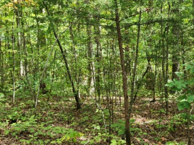 0 Glenobey Rd, Jamestown, TN 38556