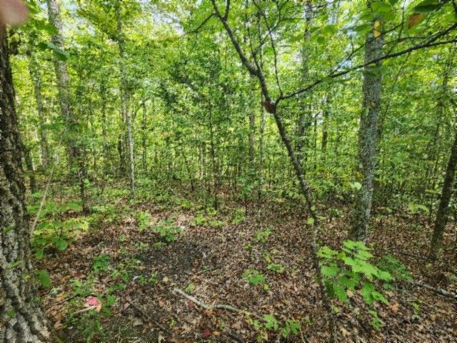 0 Glenobey Rd, Jamestown, TN 38556