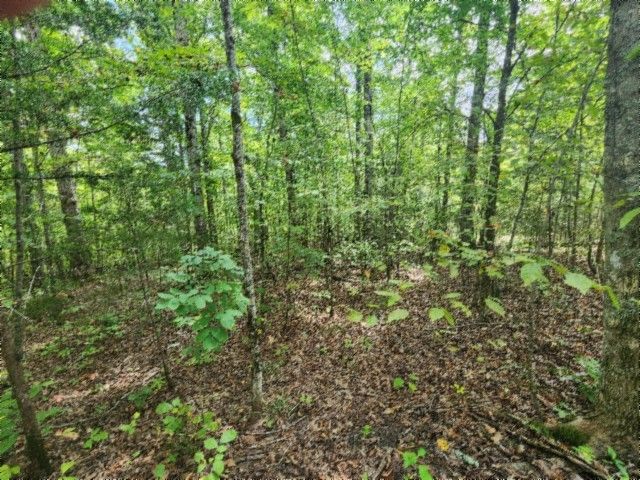 0 Glenobey Rd, Jamestown, TN 38556