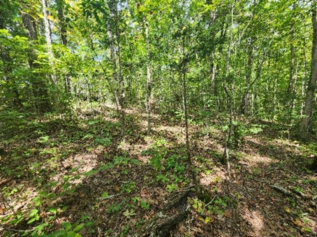 0 Glenobey Rd, Jamestown, TN 38556