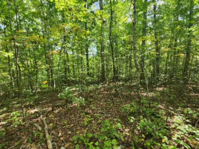 0 Glenobey Rd, Jamestown, TN 38556