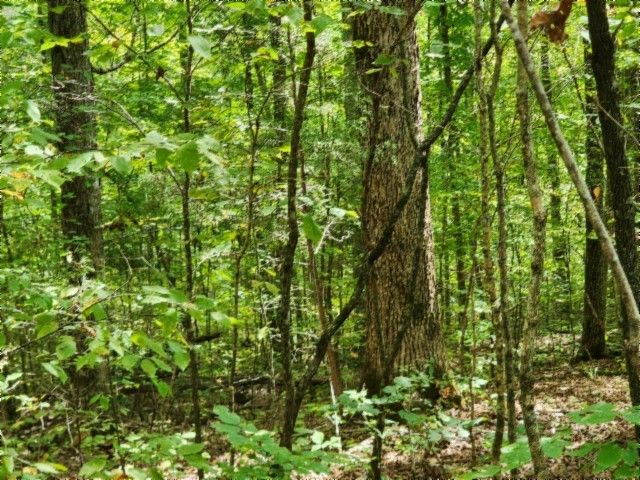 0 Glenobey Rd, Jamestown, TN 38556