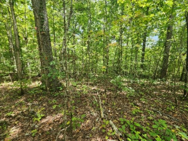 0 Glenobey Rd, Jamestown, TN 38556