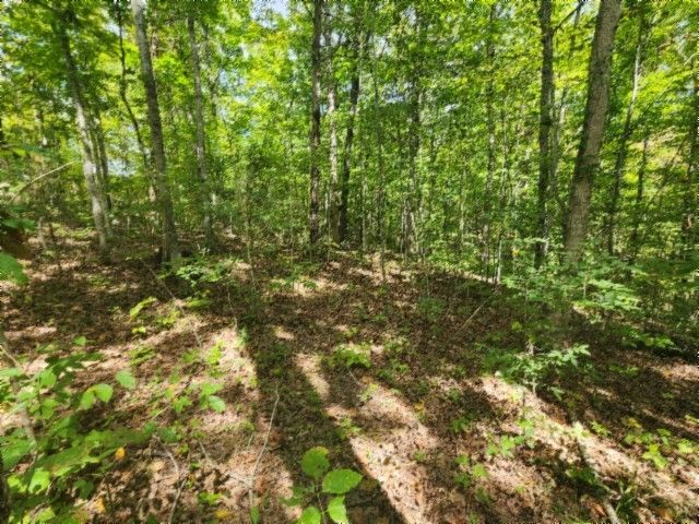 0 Glenobey Rd, Jamestown, TN 38556