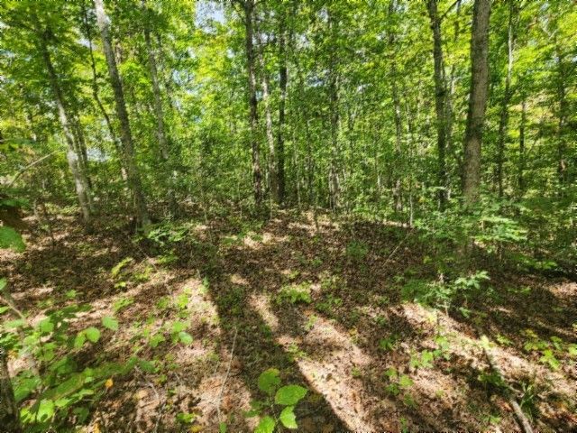 0 Glenobey Rd, Jamestown, TN 38556