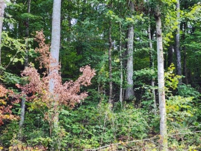 0 Glenobey Rd, Jamestown, TN 38556