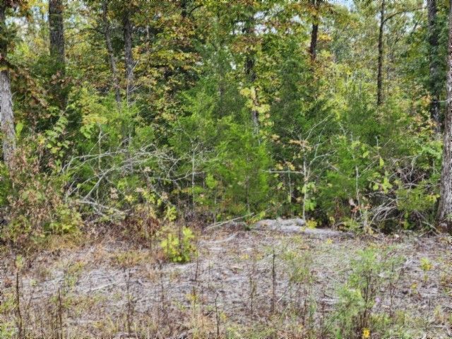 0 Glenobey Rd, Jamestown, TN 38556