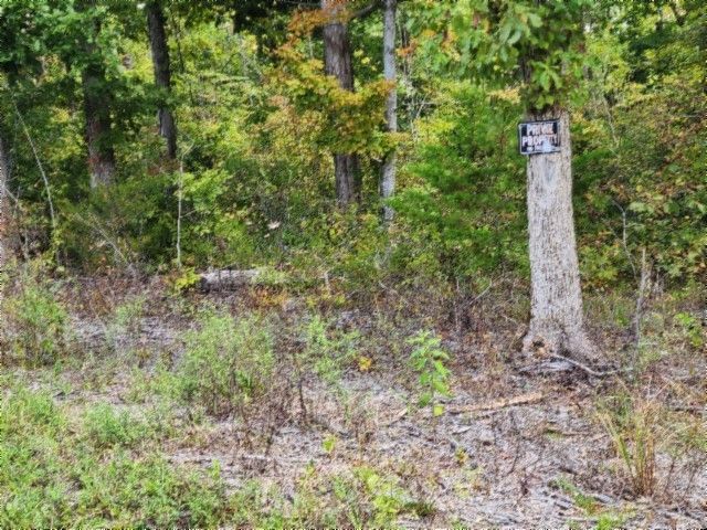 0 Glenobey Rd, Jamestown, TN 38556