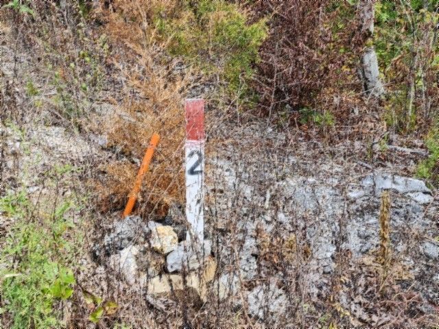 0 Glenobey Rd, Jamestown, TN 38556