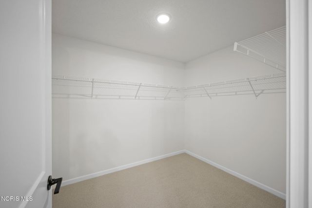 14521 Dexter Falls Road, Perrysburg, OH 43551