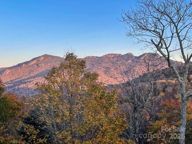 120 Pleasant View Boulevard, Sugar Mountain, NC 28604