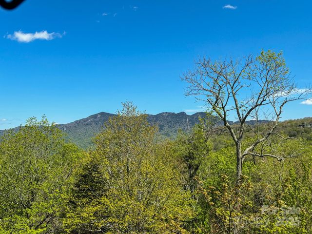 120 Pleasant View Boulevard, Sugar Mountain, NC 28604