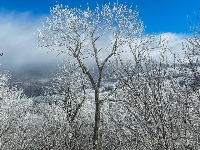 120 Pleasant View Boulevard, Sugar Mountain, NC 28604